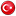 Türkçe